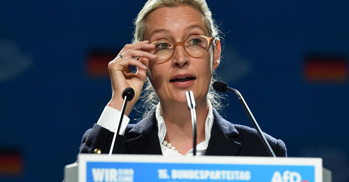 AfD-Parteitag Bestätigt Weidel Und Chrupalla Als Doppelspitze ...